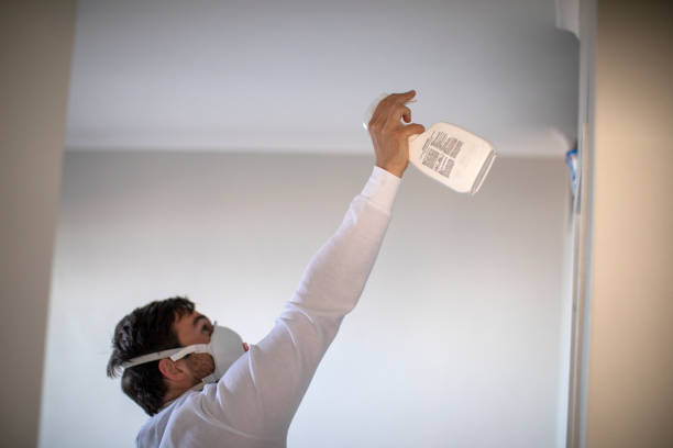 Trusted Dalton, PA Mold Removal Experts