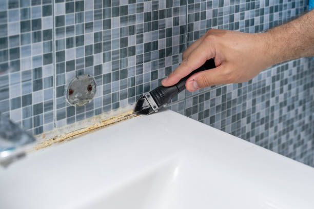 Best Local Mold Removal Service  in Dalton, PA
